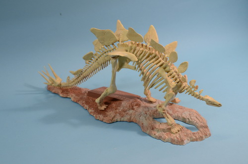 Built Model